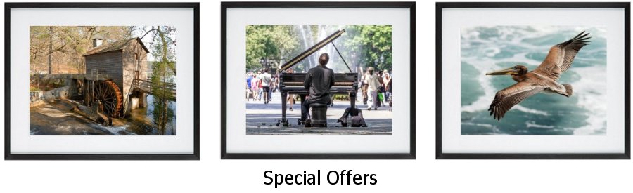 Special Offers Framed Prints